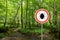 Ticks sign in the wild green forest.