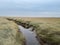 The tidal channel is between salt marshes on the island of Borkum