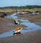 Tidal creek between Blakeney and Morston Quay at low tide with boats