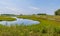 Tidal creek meanders through a salt marsh