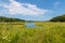 Tidal creek in a salt marsh