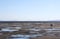 Tidal Flats of Boundary Bay