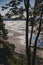 Tidal flats framed by tall trees. White Rock, BC, Canada