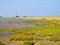 Tidal flats at low tide and people riding bikes on of West Frisian island Schiermonnikoog, Netherlands