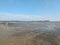 Tidal Flats Wellfleet Cape Cod