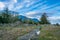 Tidal Lands Marsh On Puget Sound