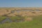 Tidal Marsh during Ebb Tide