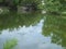 A Tidal Pool Awaits More Rushing Water