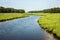 Tidal pool stream through salt marsh