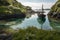 tidal pool, with viking ship at anchor, surrounded by underwater foliage