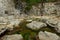 Tidal Pools at Botanical Beach