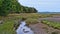 Tidal stream on Sears Island in Maine