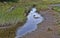 Tidal stream on Sears Island in Maine