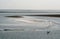 The tidal waddensea at low tide