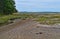 Tidal zone on Sears Island in Maine