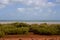 The tide ebbs out leaving the mangroves exposed near Mangrove Point , Broome, Western Australia.