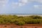 The tide ebbs out leaving the mangroves exposed near Mangrove Point , Broome, Western Australia.