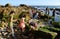 Tide pool exploration along coastline of Laguna Beach, CA