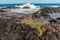 Tide Pools and Ancient Lava Flow on The Shore of Puialoa Point