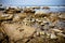 Tide pools on the Pacific Ocean during low tide at La Jolla shores near San Diego, California