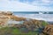 Tide Pools at Penguin Island