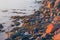 Tide Rising Over Rocks And Seaweed