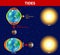 Tides. Vector diagram.