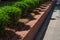 Tidy red brick retaining wall lined with boxwoods alongside a sidewalk
