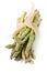 Tied bundle of fresh cut raw, uncooked green asparagus vegetable