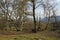 Tierpark Schloss Rosegg: Viewpoint Seat