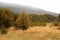 Tierra del Fuego National Park in Autumn, Patagonia, Argentina, South America