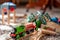 Tiffin, Iowa, USA - 3.2021: Model Thomas the Train on a wooden track. Thomas is a popular railroad themed children's