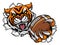 Tiger American Football Ball Breaking Background