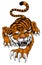 Tiger Angry Tigers Team Sports Mascot Roaring