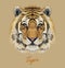 Tiger animal face. Vector Bengal head portrait. Realistic fur beast of tiger. Predator eyes of wildcat. Big cat head on beige