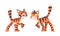 Tiger Character with Orange Fur and Black Stripes Standing and Roaring Vector Illustration Set