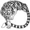 Tiger Chinese astrological sign. Black and white