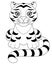 Tiger - for a coloring book. Little cute tiger cub with a long tail sits - vector linear illustration for coloring. Outline. Small