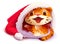 Tiger cub wearing santa claus hat symbol 2022