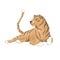 Tiger digital clip art cute animal