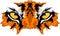 Tiger Eyes Vector Graphic