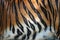 Tiger Fur Stripe Pattern Background