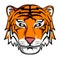 Tiger head calm cartoon design illustration