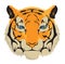 Tiger head calm cartoon design illustration