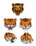 Tiger Head Collection