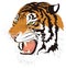 tiger head face animal vector illustration transparent background