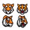 Tiger head and mascot collections vector
