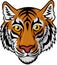 Tiger Head Mascot Team Sport cartoon