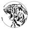 Tiger head roar illustration doodle tattoo design with free hand pen drawing in circle  frame motif black and white