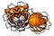 Tiger Holding Basketball Ball Breaking Background